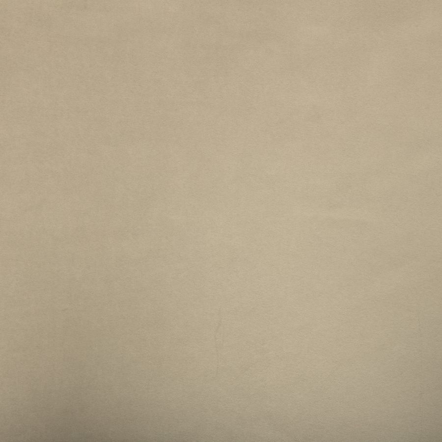 Purchase Greenhouse Fabric F6061 Focus