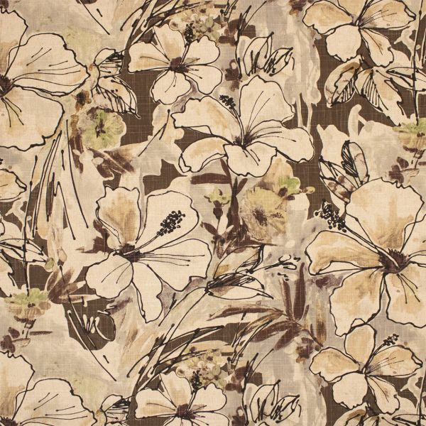 Purchase Greenhouse Fabric F6209 Chocolate