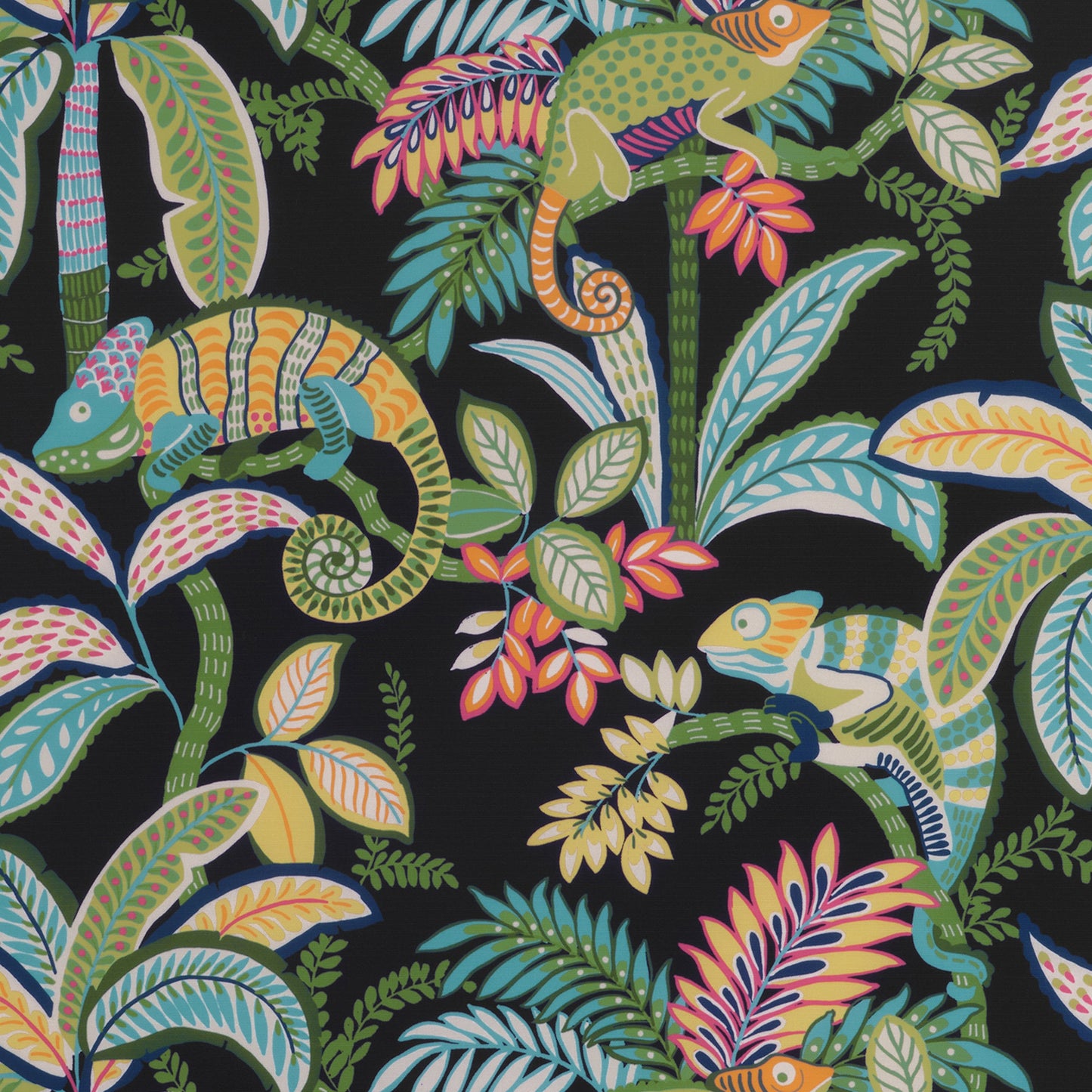 Purchase Thibaut Fabric Pattern Number F81674 Pattern Name Iggy From The Collection Locale.