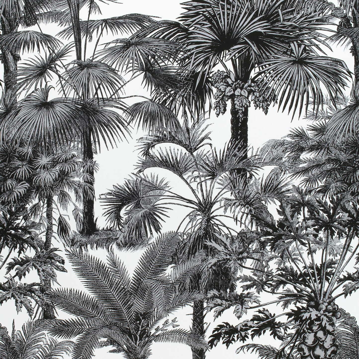 Buy samples of F910102 Palm Botanical Printed Tropics Thibaut Fabrics