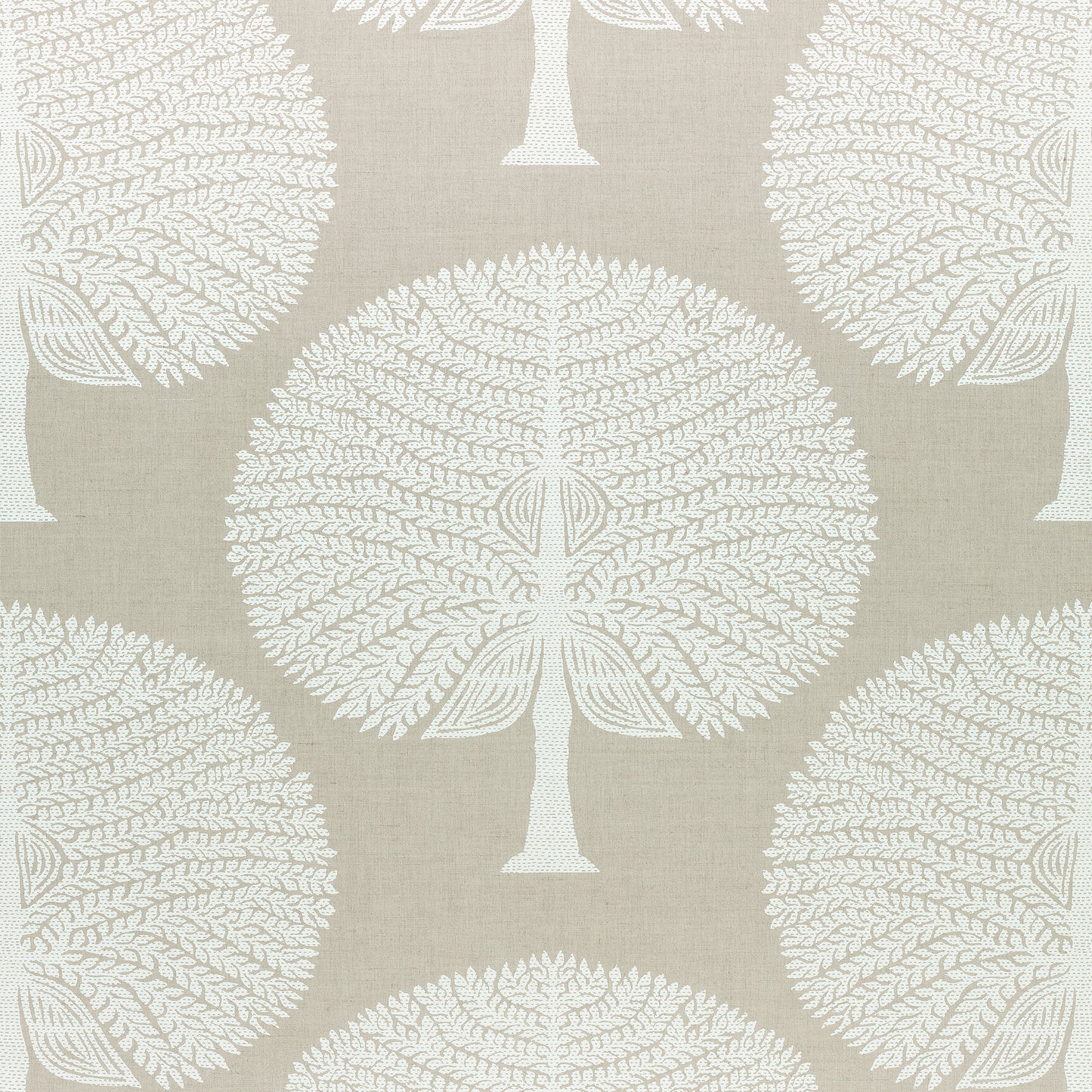 Buy samples of F910601 Mulberry Tree Printed Ceylon Thibaut Fabrics