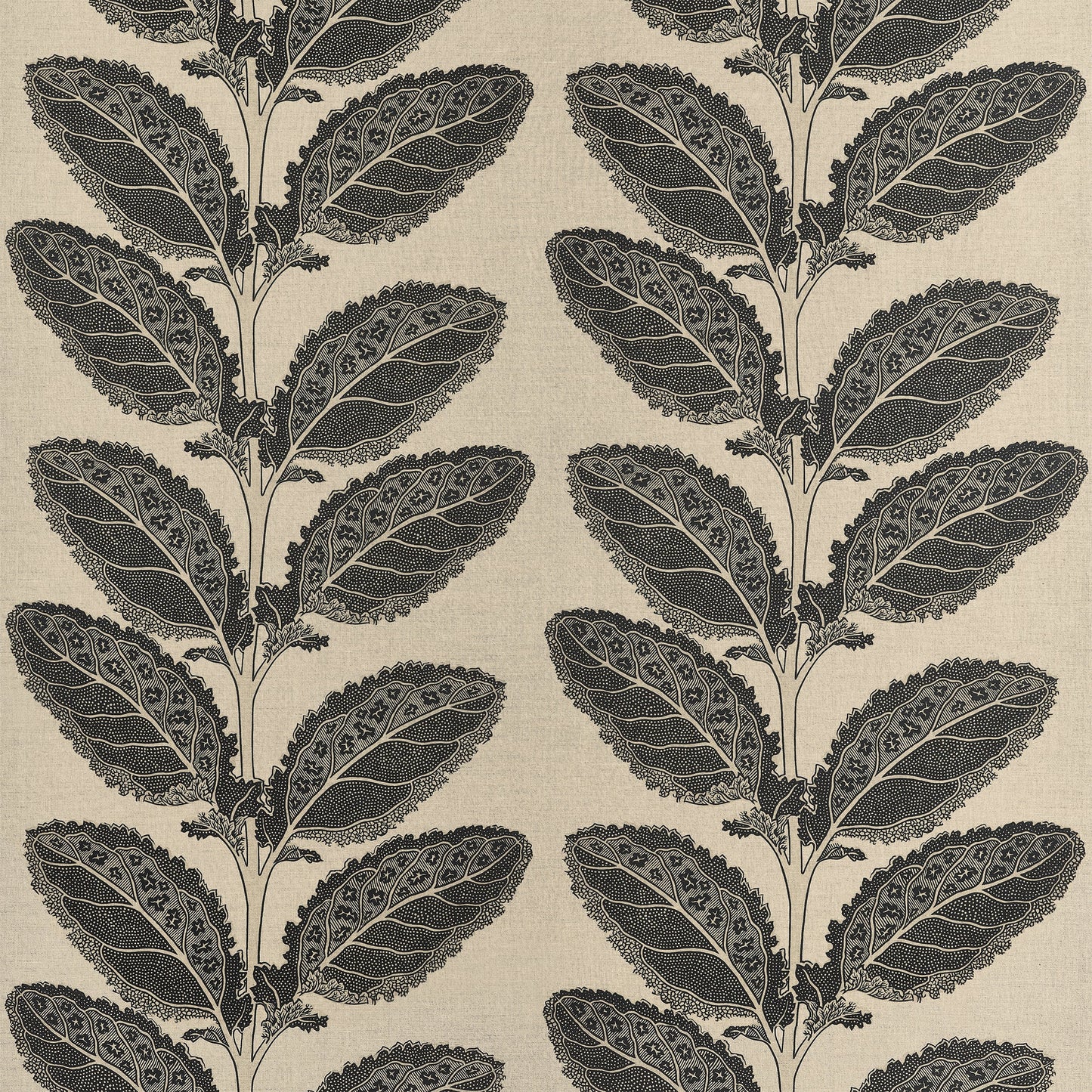 Order Thibaut Fabric Item F912038 Pattern Name Lacinato From The Collection Vista Fabric Book.