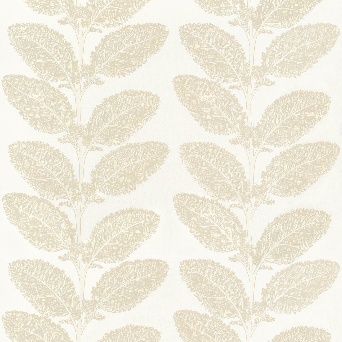 Find Thibaut Fabric Sku F912041 Pattern Name Lacinato From The Collection Vista Fabric Book.