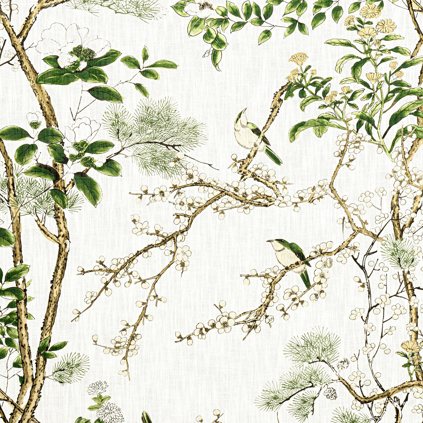 Purchase Thibaut Fabric Product# F913621 pattern name Katsura color Green and White