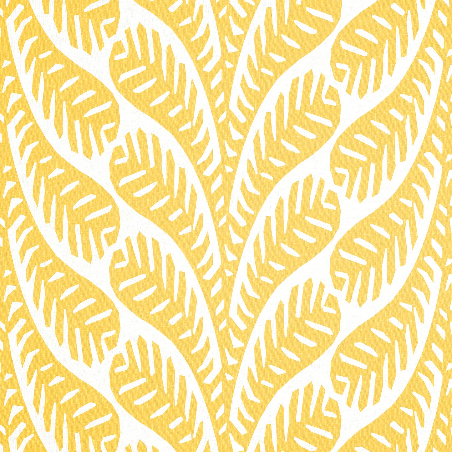 Purchase Thibaut Fabric Pattern# F920828 pattern name Ginger color Yellow