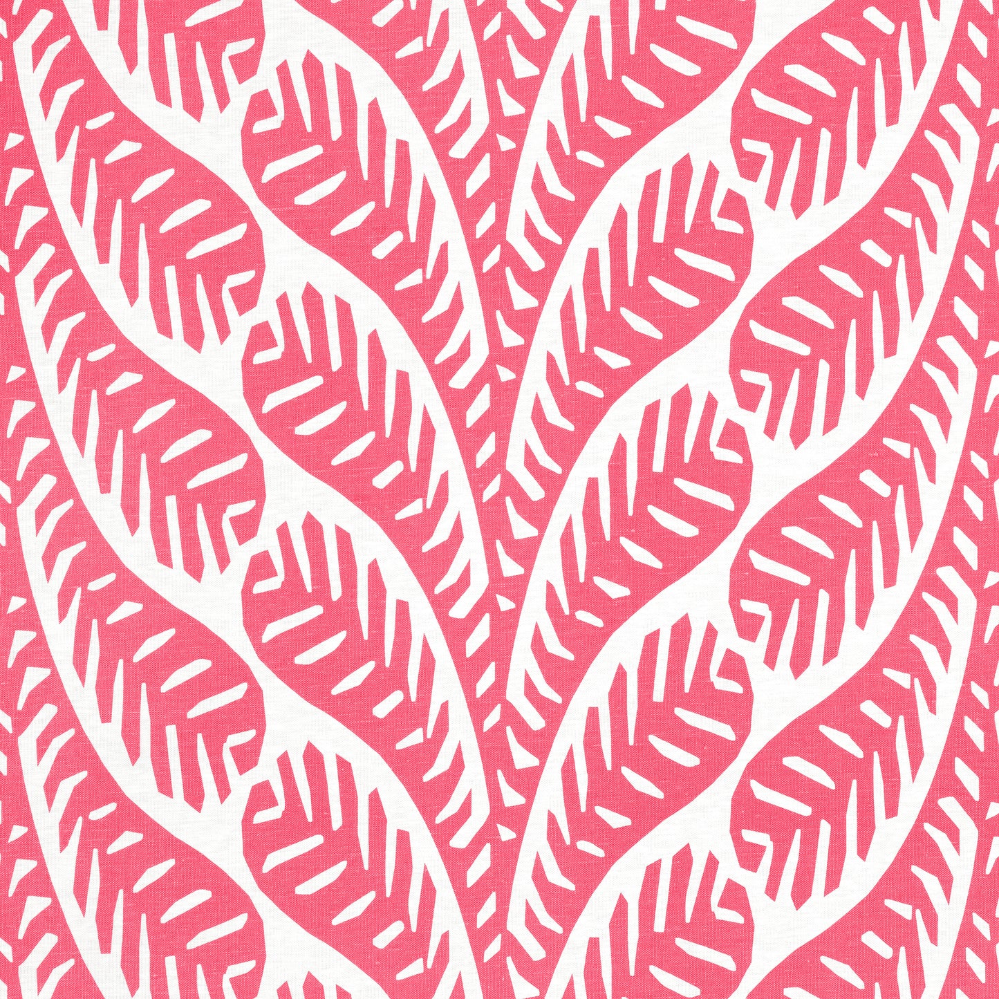 Purchase Thibaut Fabric Item# F920831 pattern name Ginger color Pink