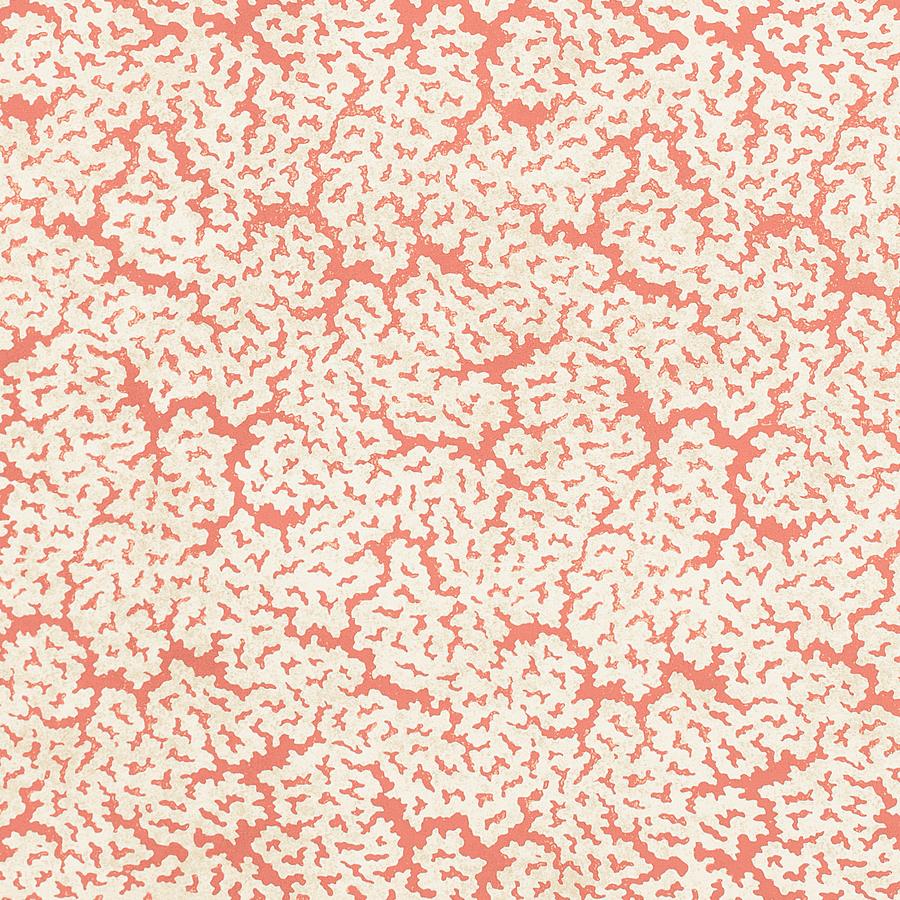 Purchase Thibaut Fabric SKU# F942043 pattern name Maldives color Coral