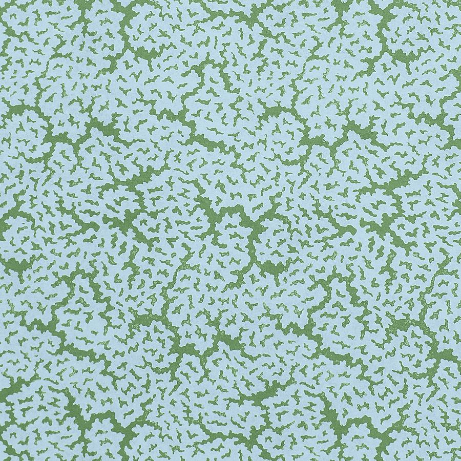 Purchase Thibaut Fabric Pattern number F942044 pattern name Maldives color Blue and Green