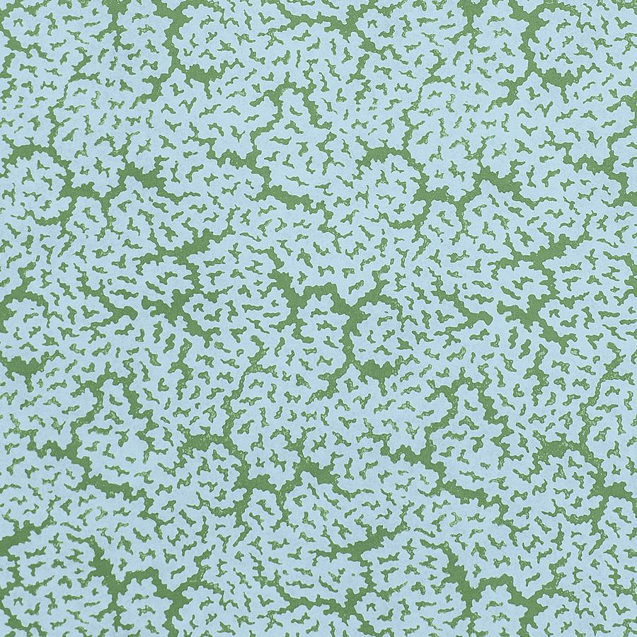 Purchase Thibaut Fabric Pattern number F942044 pattern name Maldives color Blue and Green