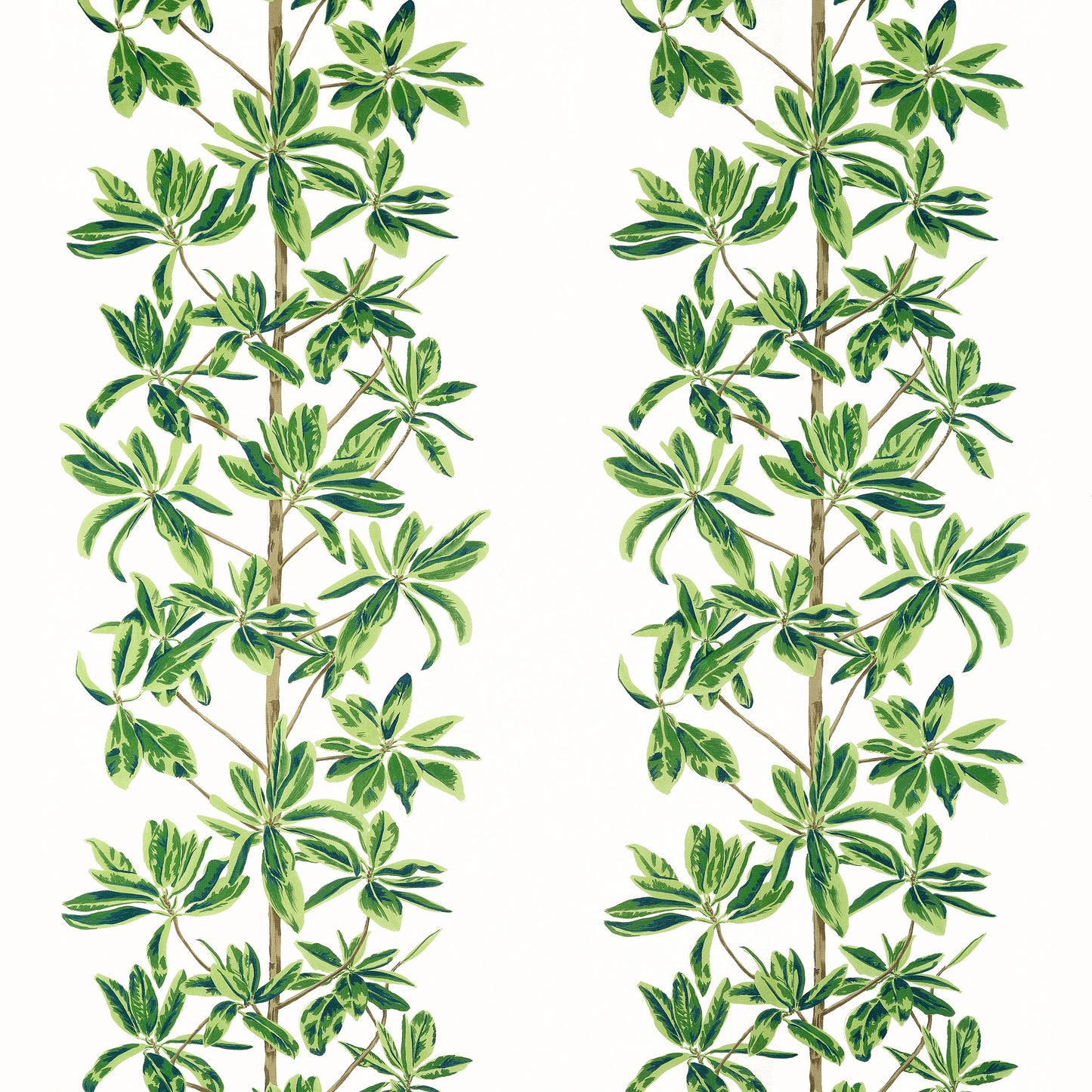 Acquire Thibaut Fabric Product# F945035 Pattern Name Mangrove Tree From The Collection Wanderlust Fabric Book.