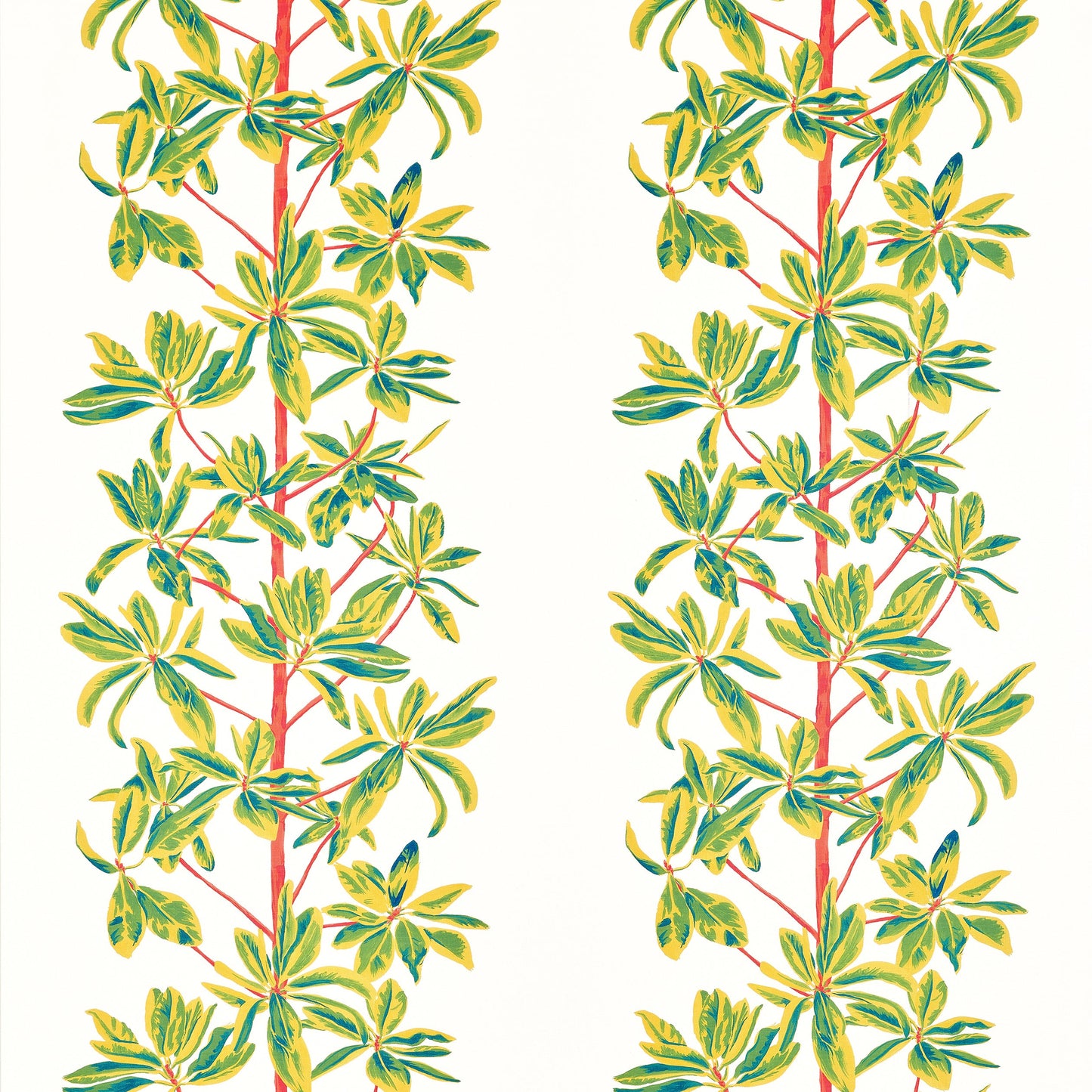 Looking For Thibaut Fabric Item F945036 Pattern Name Mangrove Tree From The Collection Wanderlust Fabric Book.