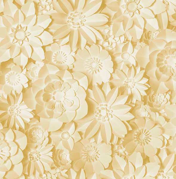 Purchase FD42597 Brewster Wallpaper, Dacre Yellow Floral - Medley