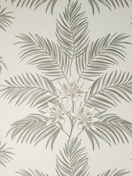 Purchase FD43277 Brewster Wallpaper, Bali Light Grey Palm - Medley