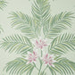 Purchase FD43278 Brewster Wallpaper, Bali Sage Palm - Medley