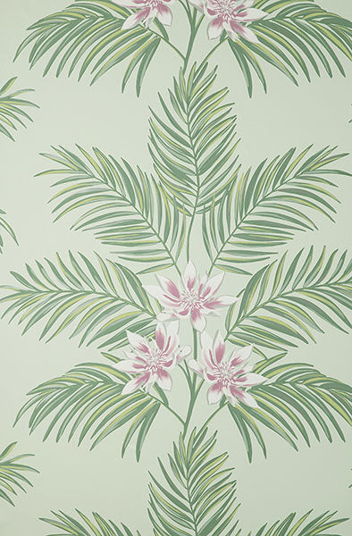 Purchase FD43278 Brewster Wallpaper, Bali Sage Palm - Medley