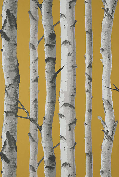 Purchase FD43290 Brewster Wallpaper, Chester Mustard Birch Trees - Medley