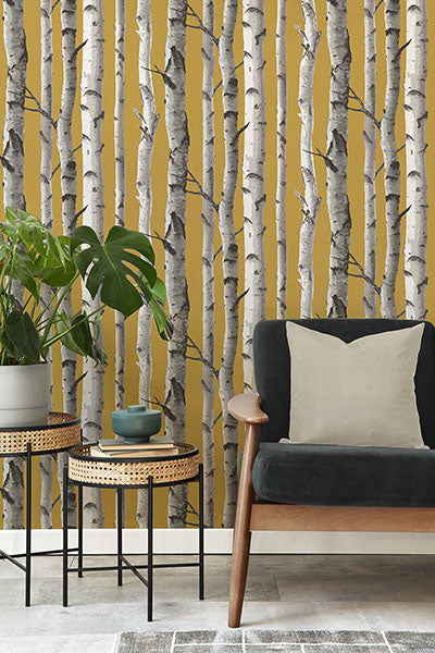 Purchase FD43290 Brewster Wallpaper, Chester Mustard Birch Trees - Medley12