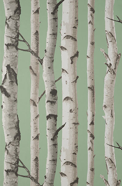 Purchase FD43291 Brewster Wallpaper, Chester Sage Birch Trees - Medley