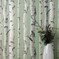 Purchase FD43291 Brewster Wallpaper, Chester Sage Birch Trees - Medley1