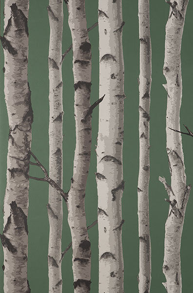 Purchase FD43292 Brewster Wallpaper, Chester Dark Green Birch Trees - Medley