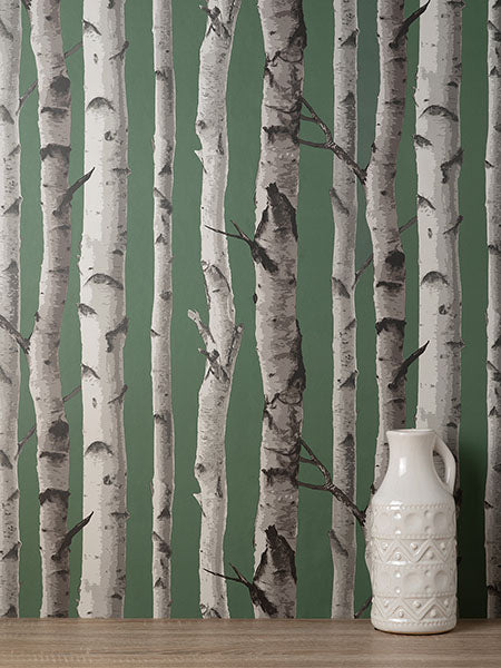 Purchase FD43292 Brewster Wallpaper, Chester Dark Green Birch Trees - Medley1