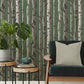 Purchase FD43292 Brewster Wallpaper, Chester Dark Green Birch Trees - Medley12