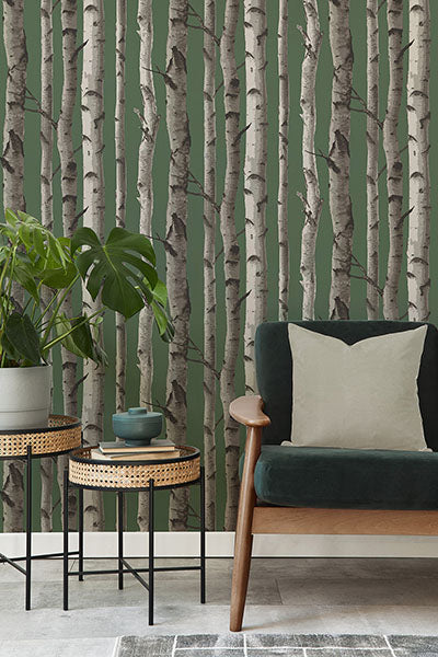 Purchase FD43292 Brewster Wallpaper, Chester Dark Green Birch Trees - Medley12