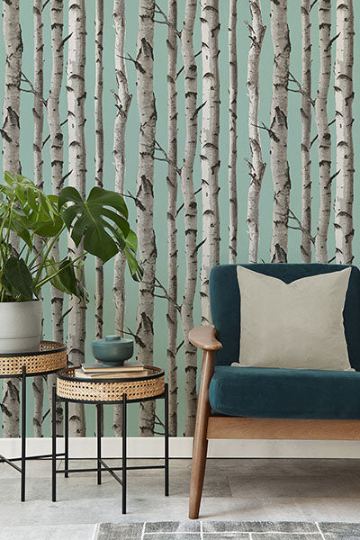 Purchase FD43293 Brewster Wallpaper, Chester Aqua Birch Trees - Medley12
