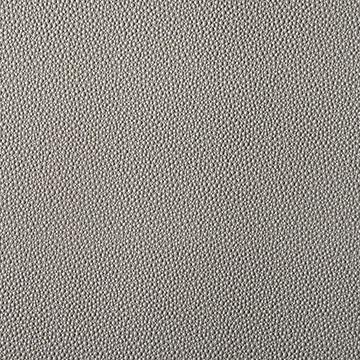 Find FETCH.11.0 Fetch Grey Animal Skins by Kravet Contract Fabric