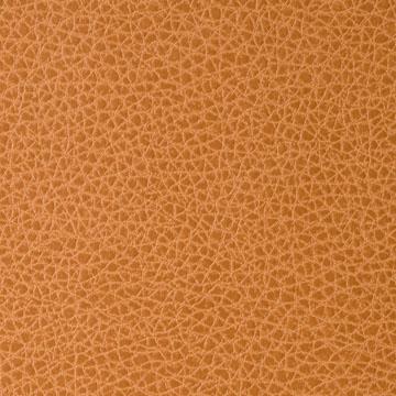 Sample - Foothill-12 | Foothill, Sta-Kleen - Kravet Contract Fabric - Foothill.12.0