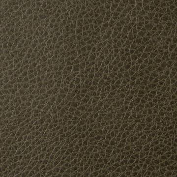 Sample - Foothill-33 | Foothill, Sta-Kleen - Kravet Contract Fabric - Foothill.33.0