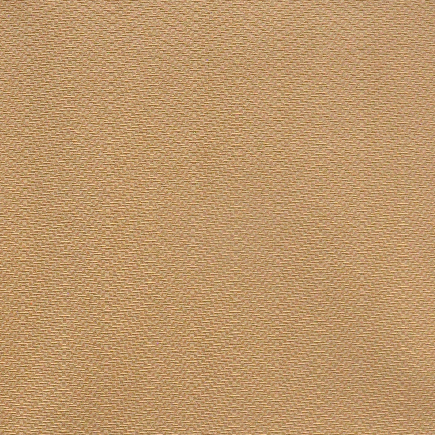Fawkes | # 705 Macadamia - Maxwell Fabric