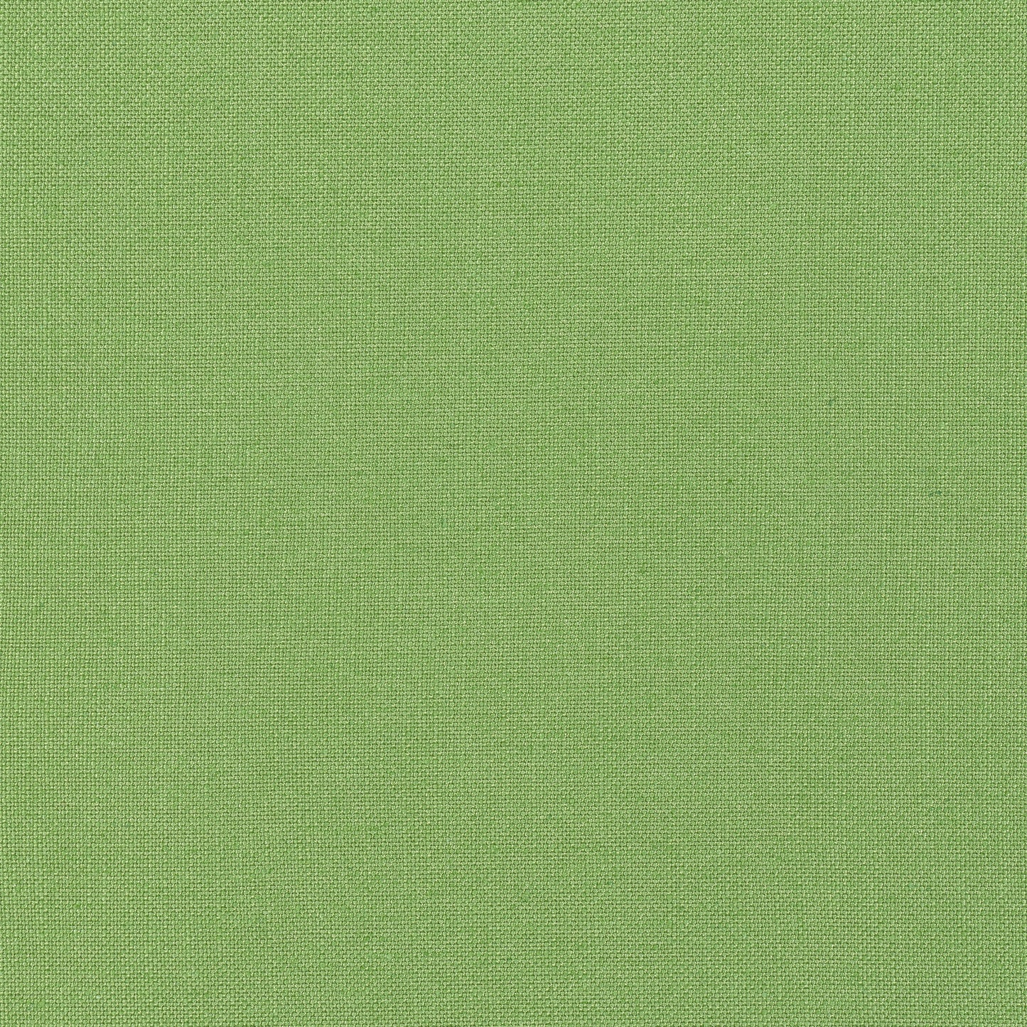Purchase Thibaut Fabric Product# FWW7653 pattern name Palisade Linen color Grass