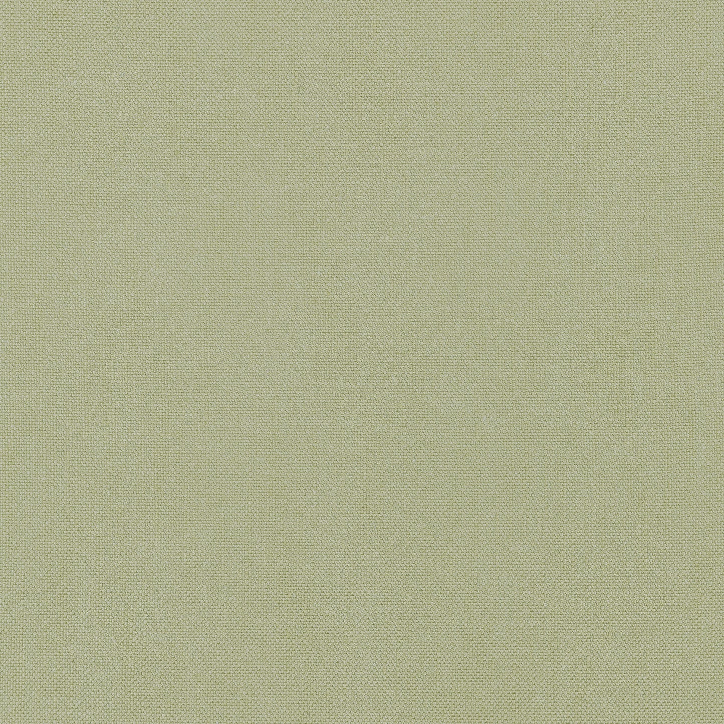 Purchase Thibaut Fabric SKU# FWW7655 pattern name Palisade Linen color Moss