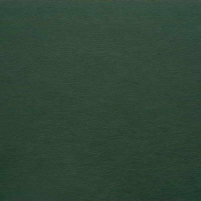 Sample - Gato.303.0 | Kravet Design, - Kravet Design Fabric