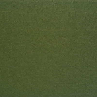 Purchase Gato.35.0 Kravet Design, - Kravet Design Fabric
