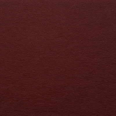 Sample - Gato.9.0 | Kravet Design, - Kravet Design Fabric