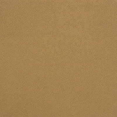 Sample - Genslar.16.0 | Kravet Design, - Kravet Design Fabric