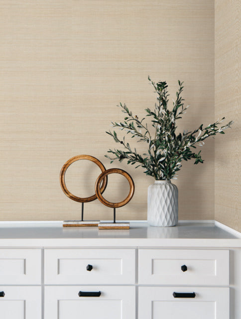 Purchase Gv0272 | Grasscloth & Natural Resource, Modern Abaca - Ronald Redding Wallpaper