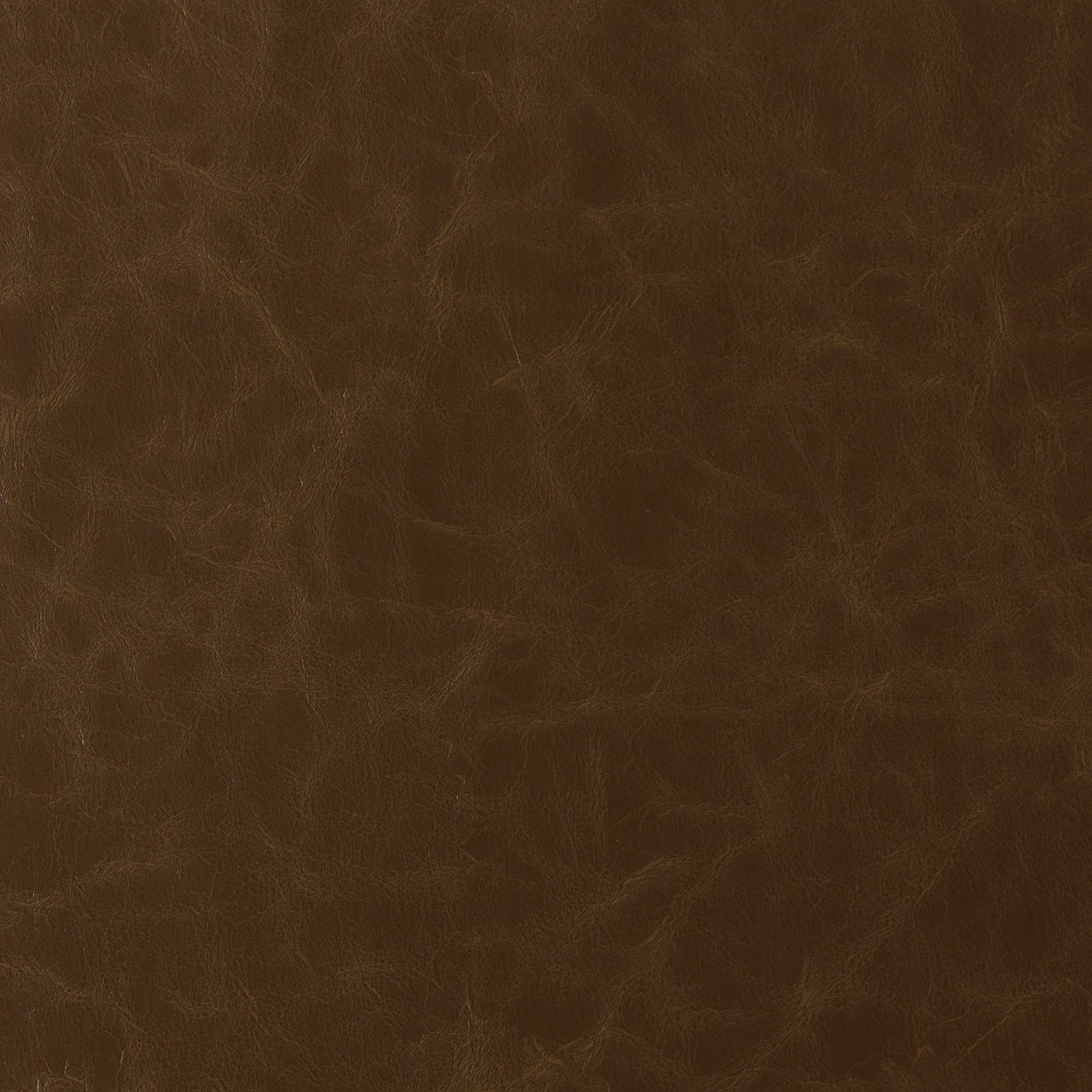 Purchase JF Fabric - Howdy 36J9591