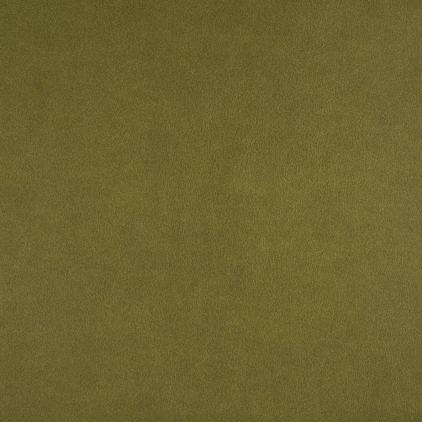 Purchase Maxwell Fabric - Icon, # 741 Spring