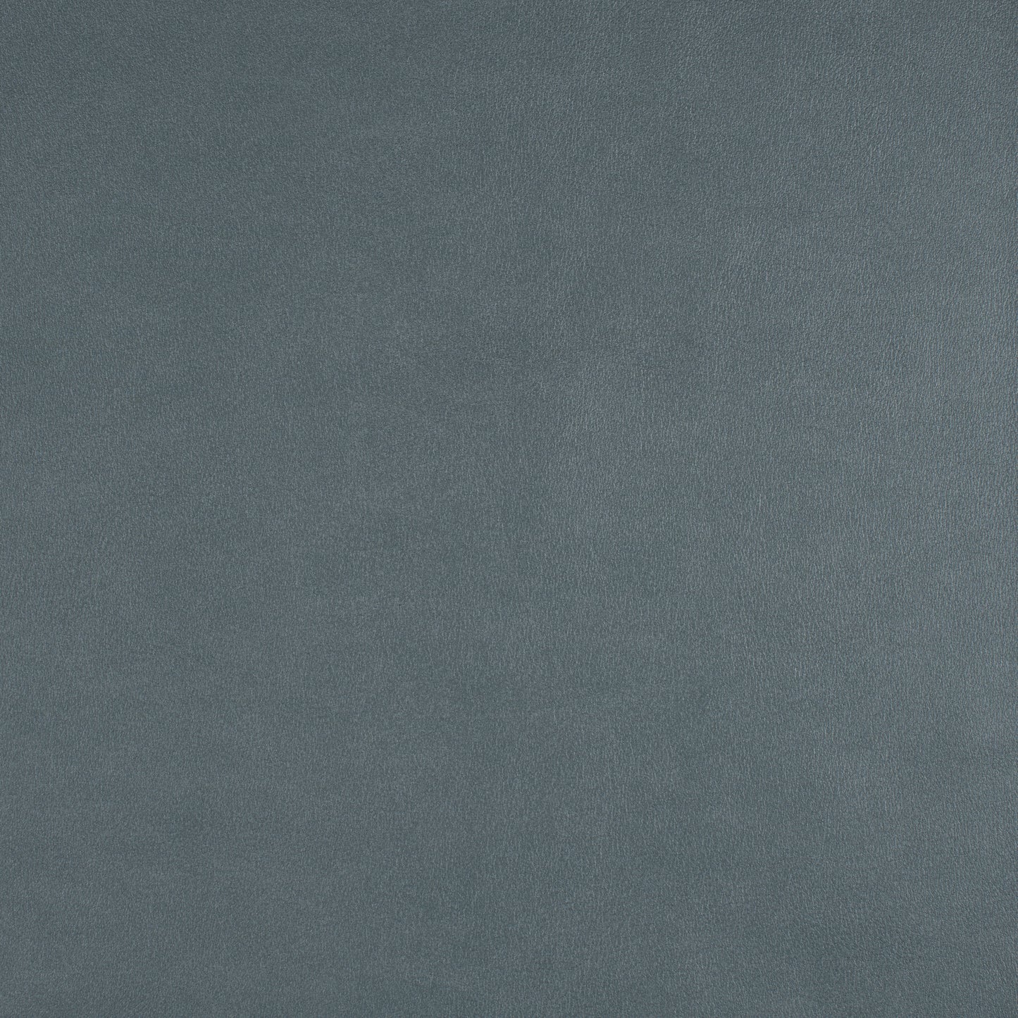 Purchase Maxwell Fabric - Icon, # 752 Skylight