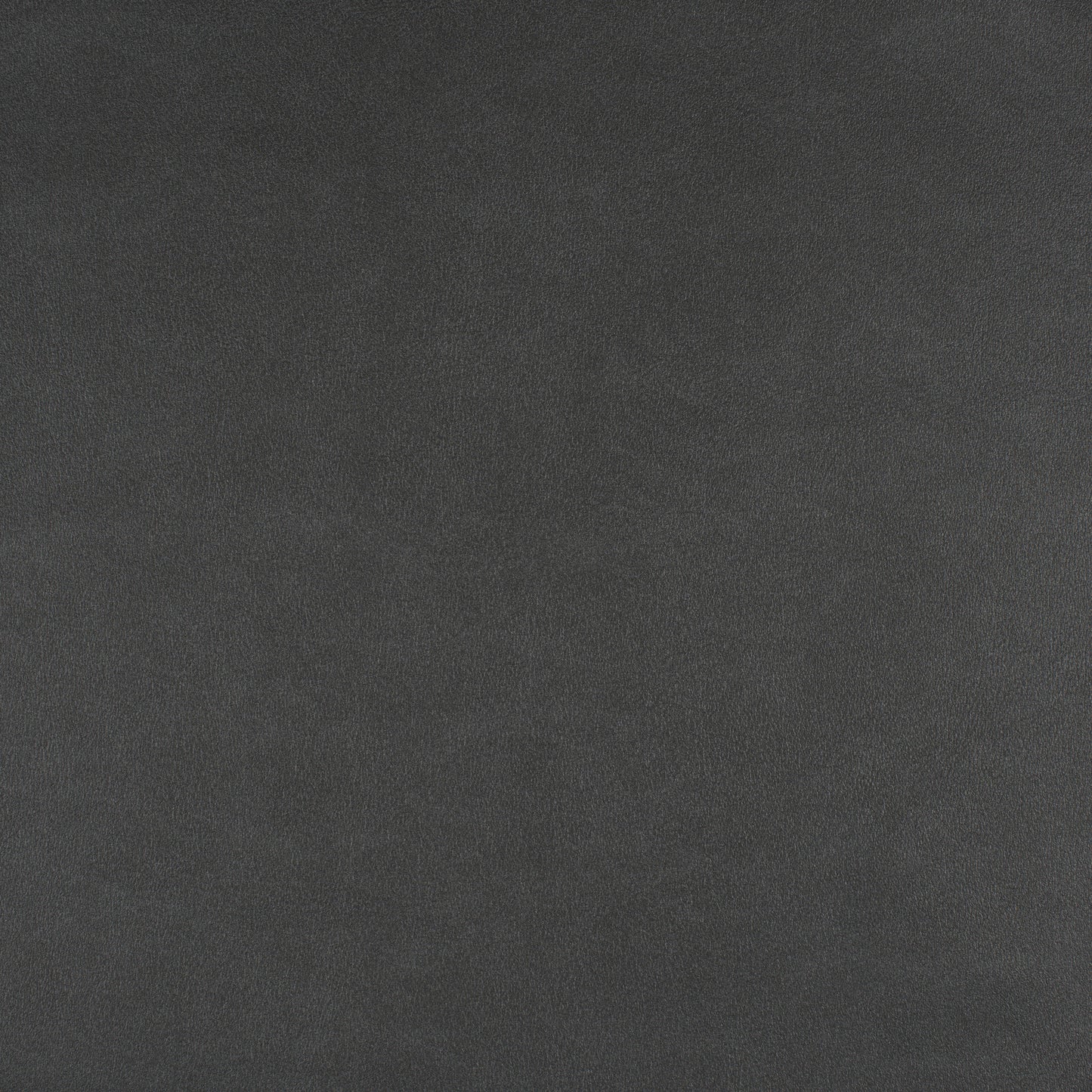 Purchase Maxwell Fabric - Icon, # 779 Slate