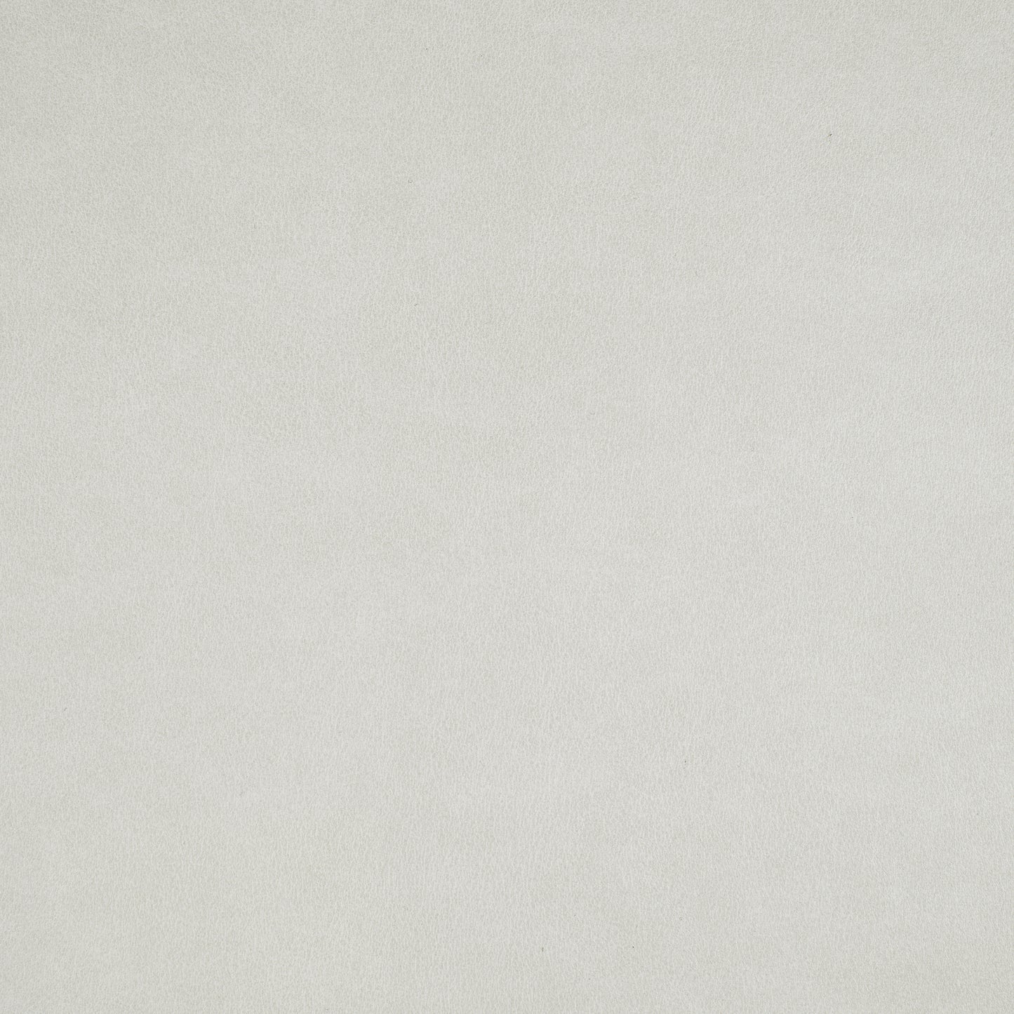 Purchase Maxwell Fabric - Icon, # 790 Vapor