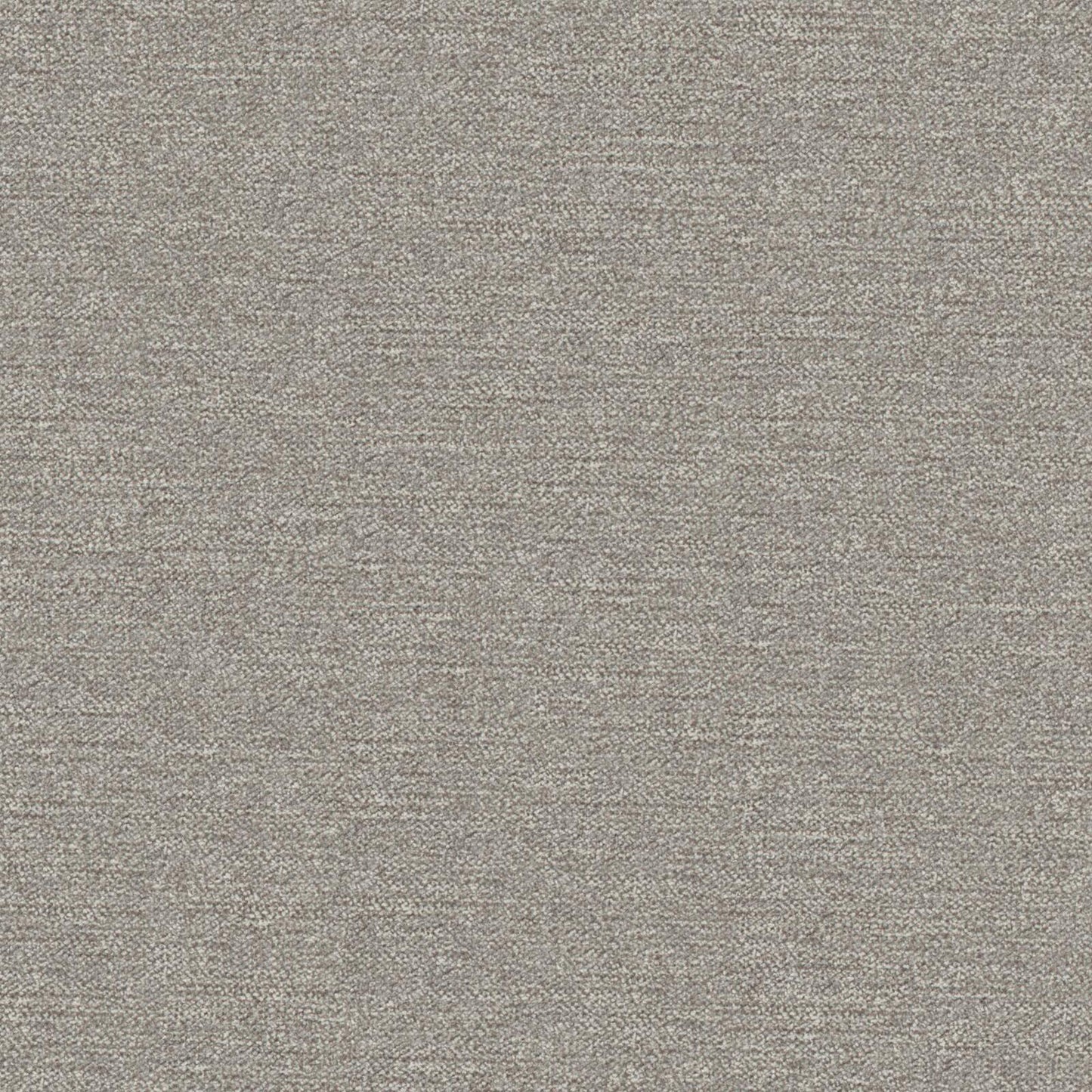 Impasto | # 906 Shark - Maxwell Fabric
