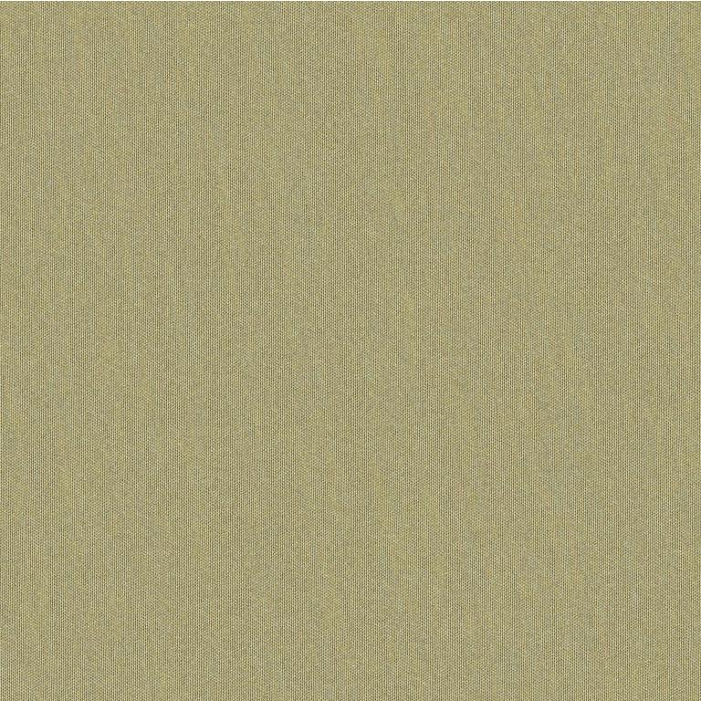 Looking JAG-50020-116 Shots Greige Dore Solid by Brunschwig & Fils Fabric