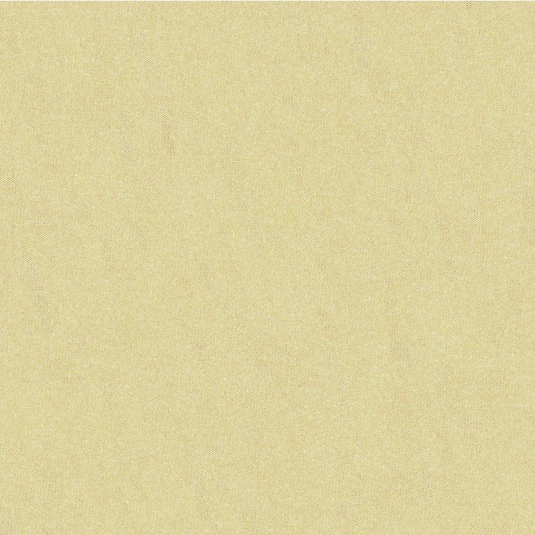 Sample JAG-50020-164 Shots Gazelle Solid Brunschwig and Fils Fabric