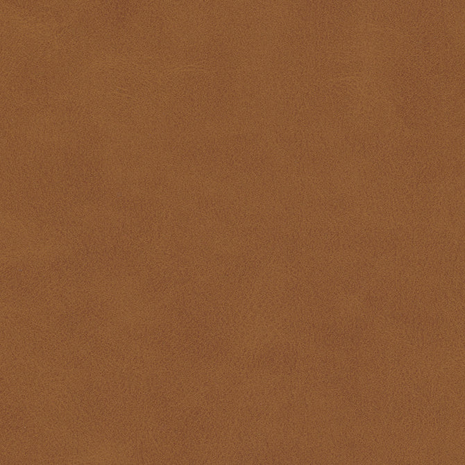 Purchase Maxwell Fabric - Kiki-Nj, # 828 Butternut