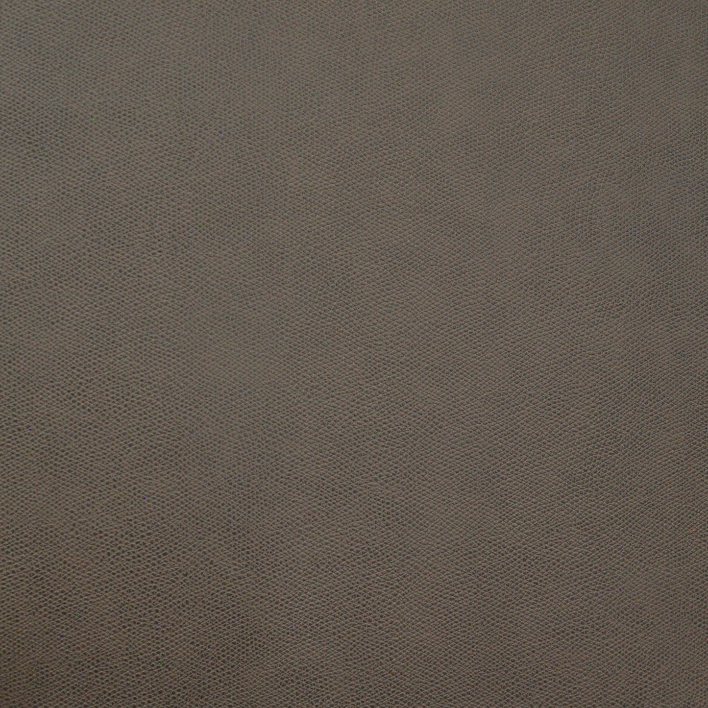 Komodo | # 775 Peat - Maxwell Fabric