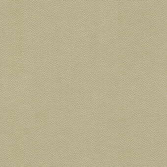 Purchase Litestar.116.0 Litestar, - Kravet Design Fabric